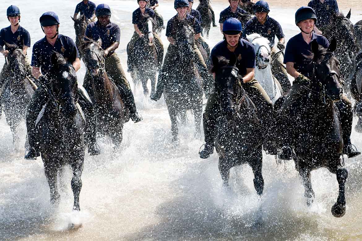 Horse location shots