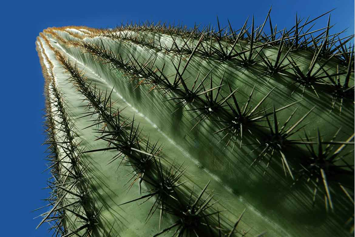 Arizona, Travel photographer Norfolk